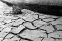 dried up